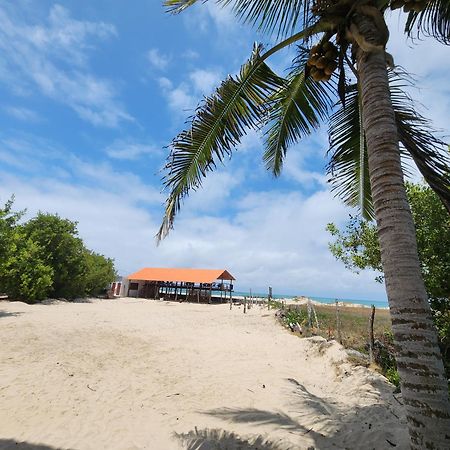 Hotel La Jungla Пуерто Виламил Екстериор снимка