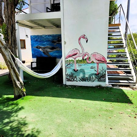 Hotel La Jungla Пуерто Виламил Екстериор снимка