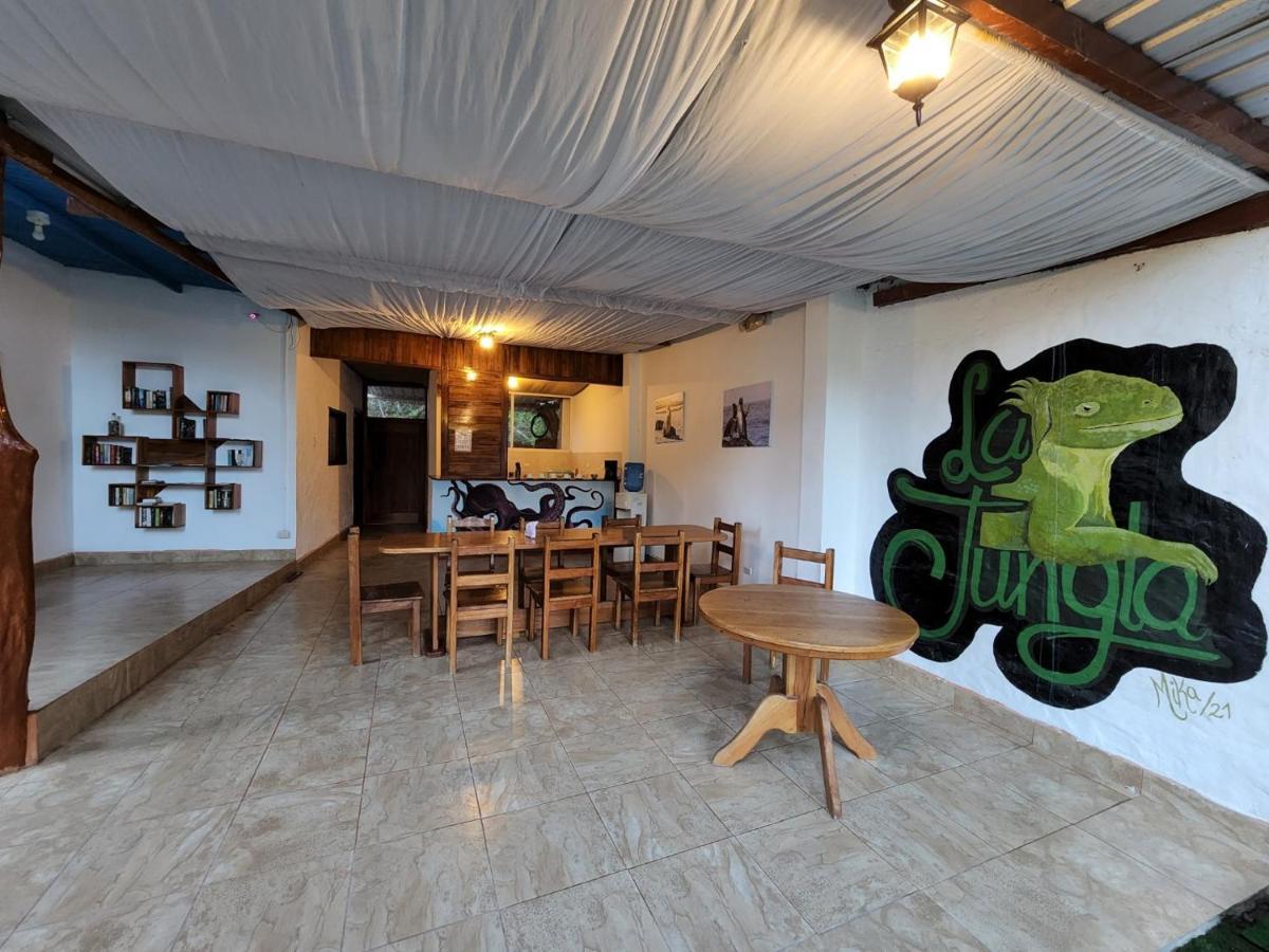 Hotel La Jungla Пуерто Виламил Екстериор снимка