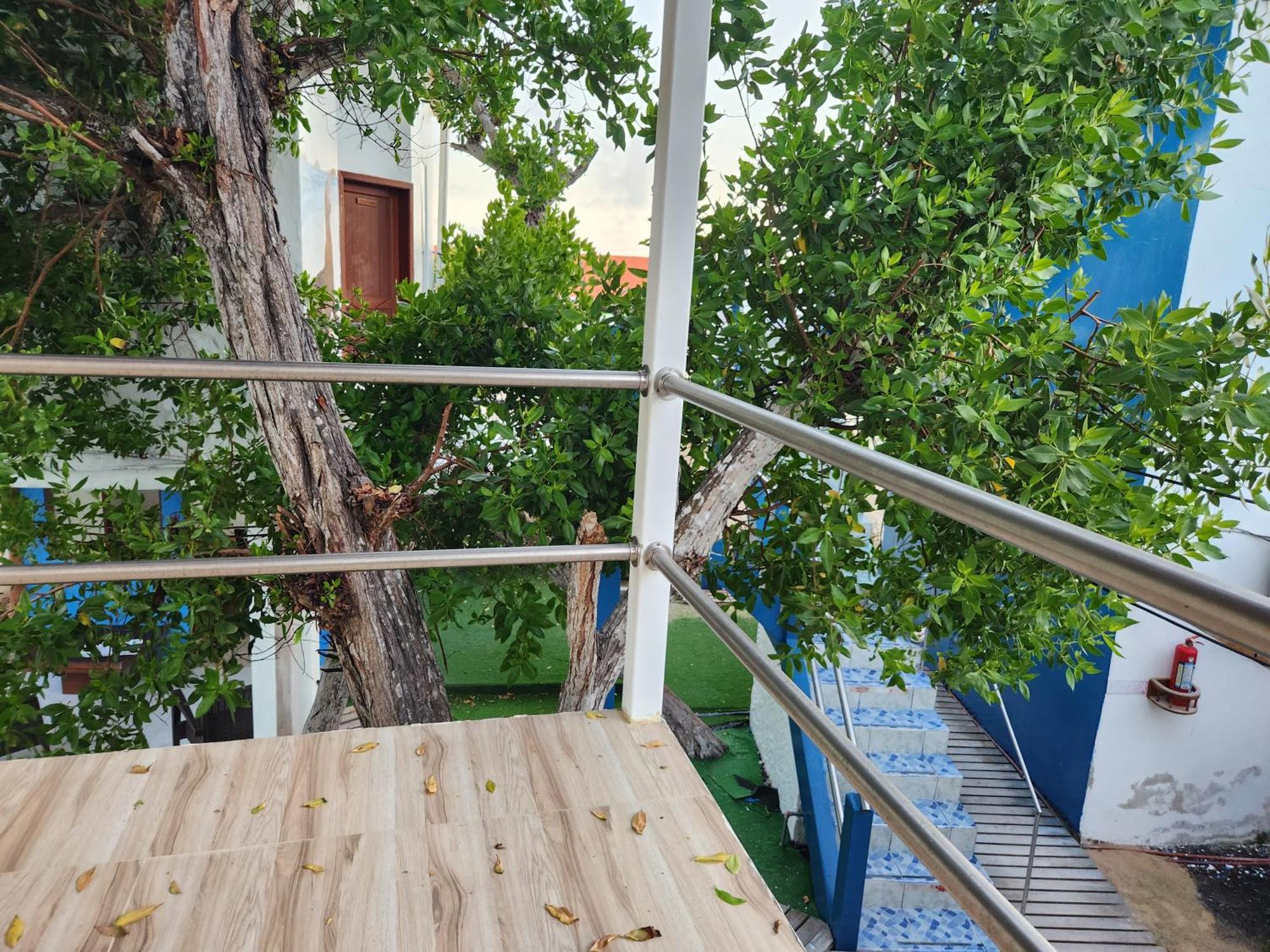 Hotel La Jungla Пуерто Виламил Екстериор снимка